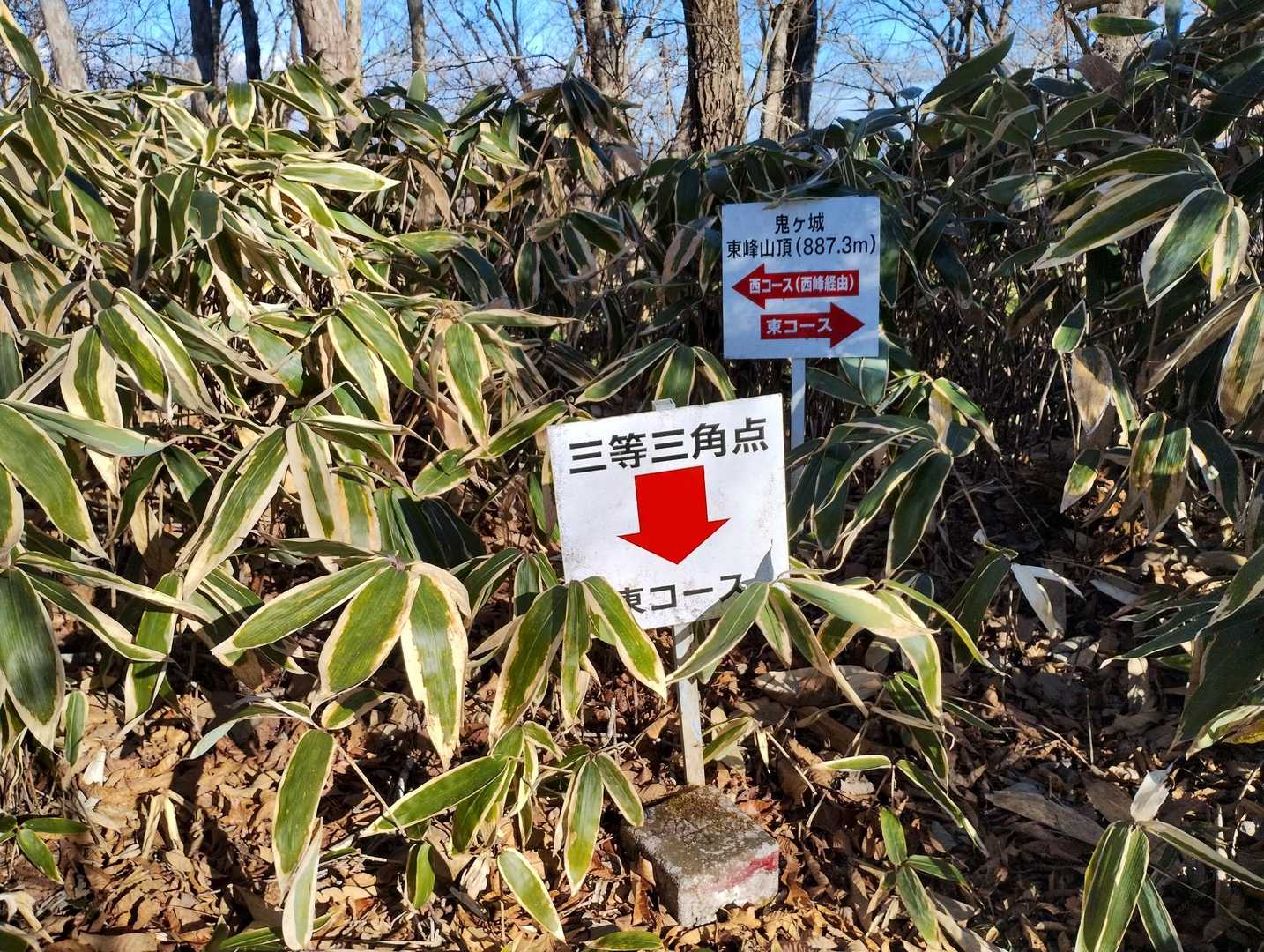 尾根まで登り、少し歩いて東鬼ヶ城山山頂です👏

山名板はありませんでしたが三角点はありました
西鬼ヶ城山に向かいます