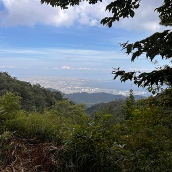 よき景色を見ながらランチできました