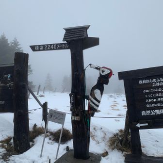 坪庭に無事帰着