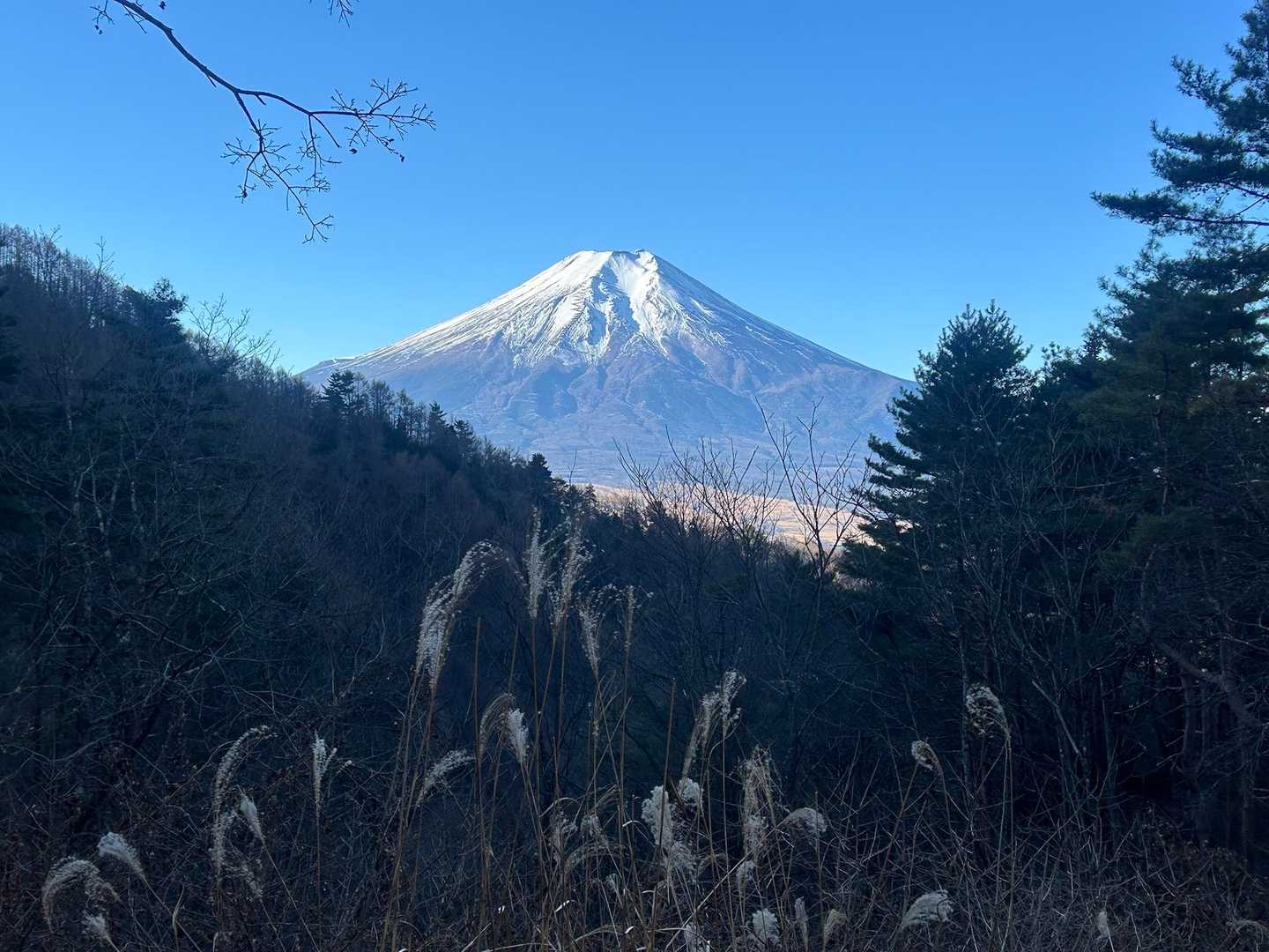 早々に素晴らしい富士山
歩き始めから足を止められる😅