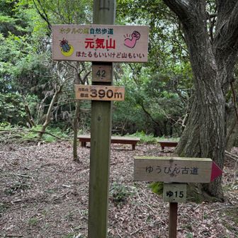 元気山とゆうびん古道
面白いネーミングですね♪
