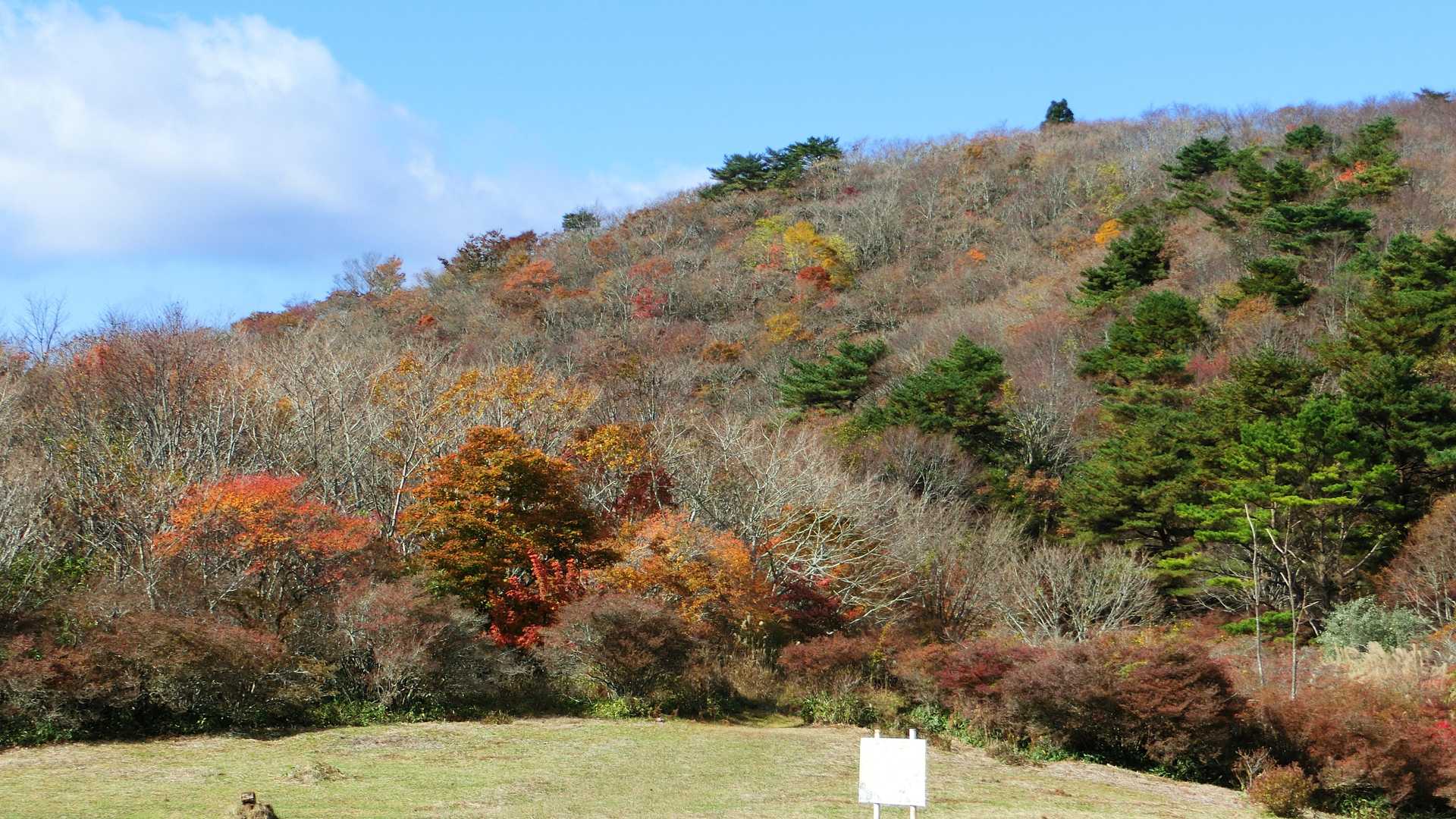 祈祷ケ原から見える紅葉