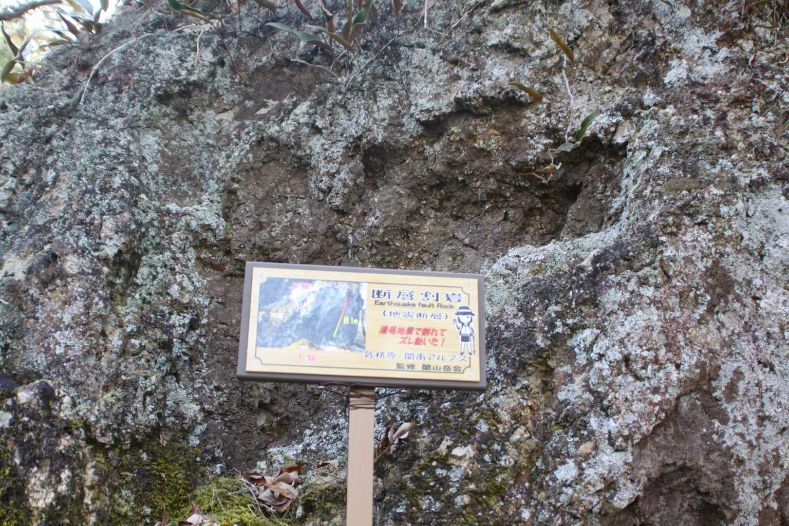 金山-岩坂峠-岩坂山-須衛山-向山 往復コースの写真
