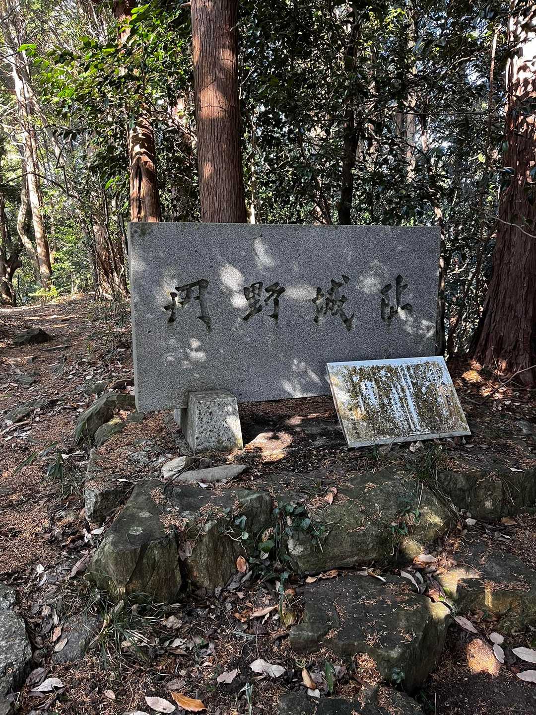 御堂山-砥神山 周回コースの写真