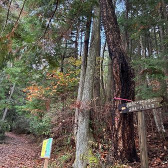 佐伯スポーツ公園第二駐車場からスタート
山頂まで1.4k