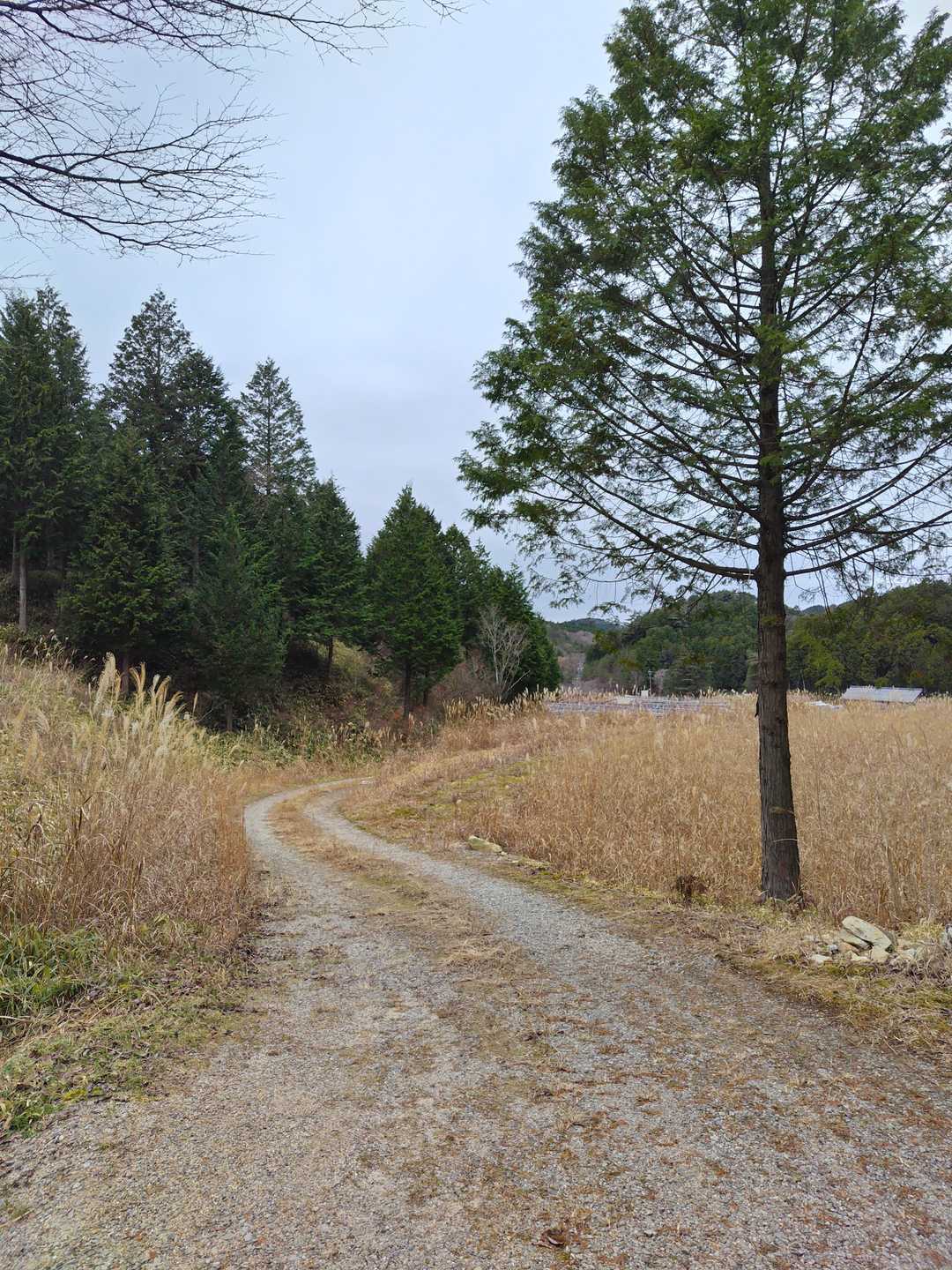 あとは林道を歩いてゴール😊
天気が崩れる前に無事下山出来ました😊👌