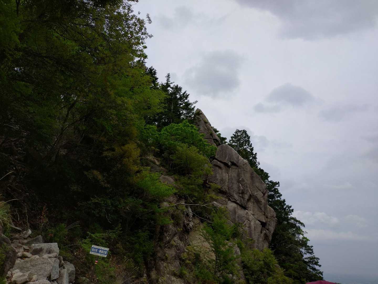 🐰の耳