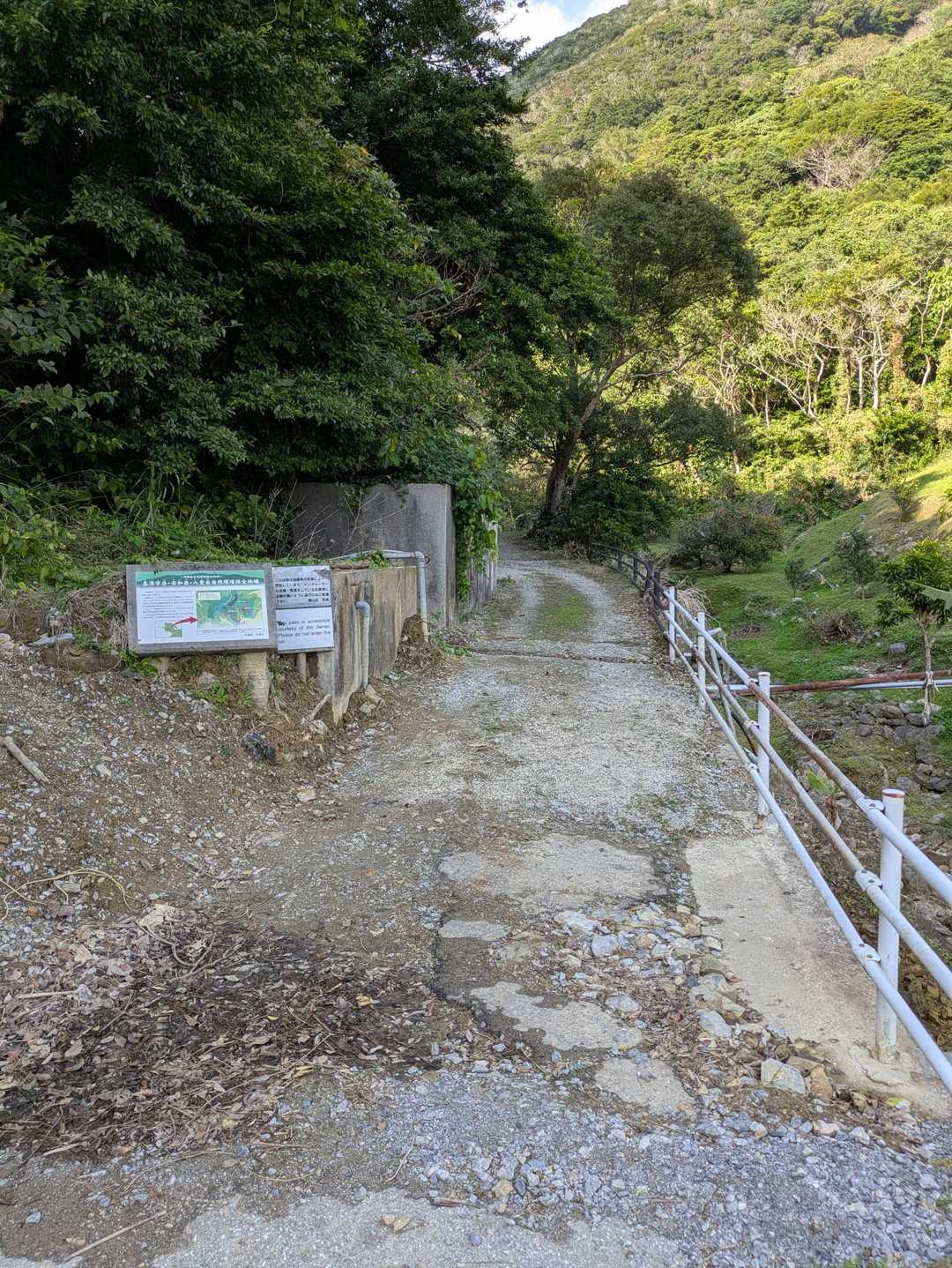 こんな感じ〜シークワーサー農園の中に登山道があるんだねー