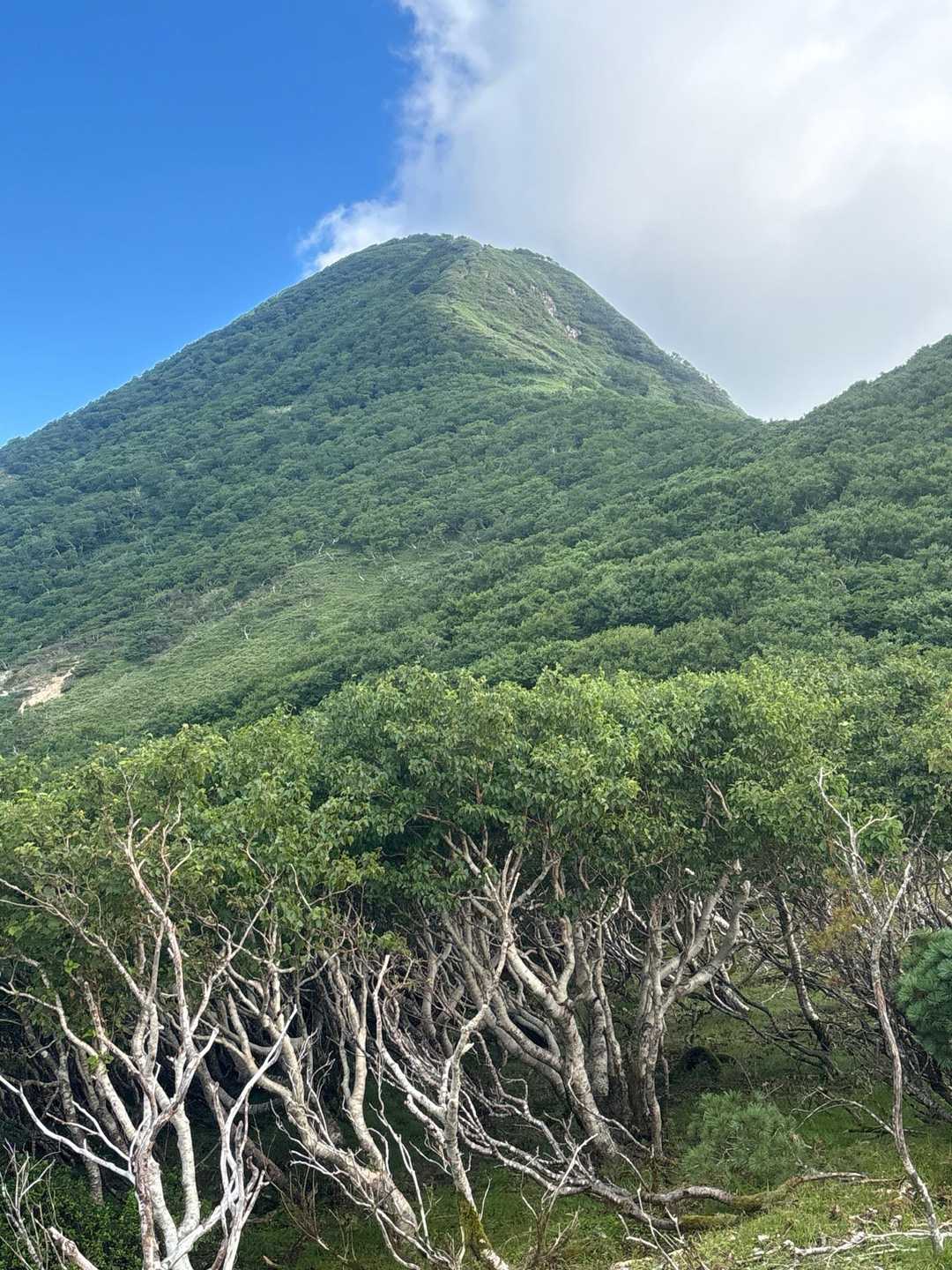 オロフレ峠-オロフレ山-カルルス山 周回コースの写真