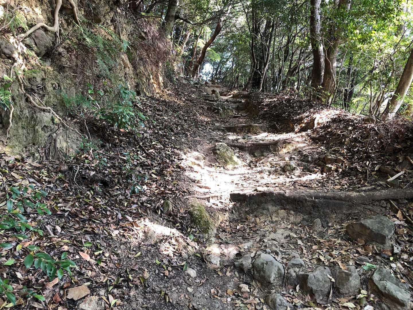 津乃峰山 往復コースの写真