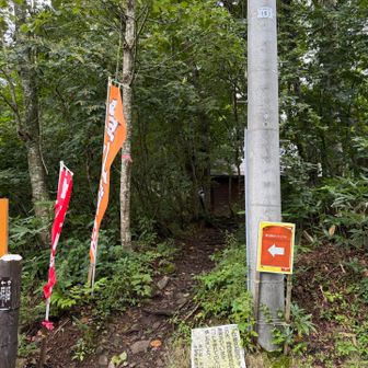 間違えて此方に入ってしまいました💦此方は平標山の家方面（此方から下山予定）
⬅️に行きます