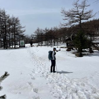 ここからは車道で帰ります。
