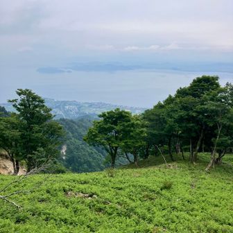 堂満岳からはYAMAP赤線ルートでない尾根を下ってショートカット　途中の展望地から、この日初の琵琶湖の対岸が見えた！