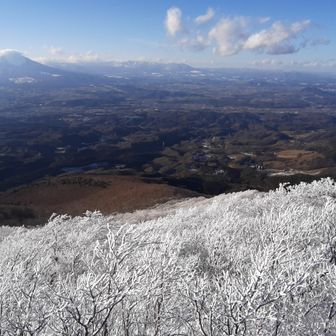 山頂直下は綺麗な霧氷でびっしり