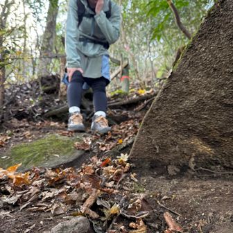 急斜面を下っていると…🙄
🎄→…ムシ‼️
ん❓まだ虫がいるのかな…と思ったら😨