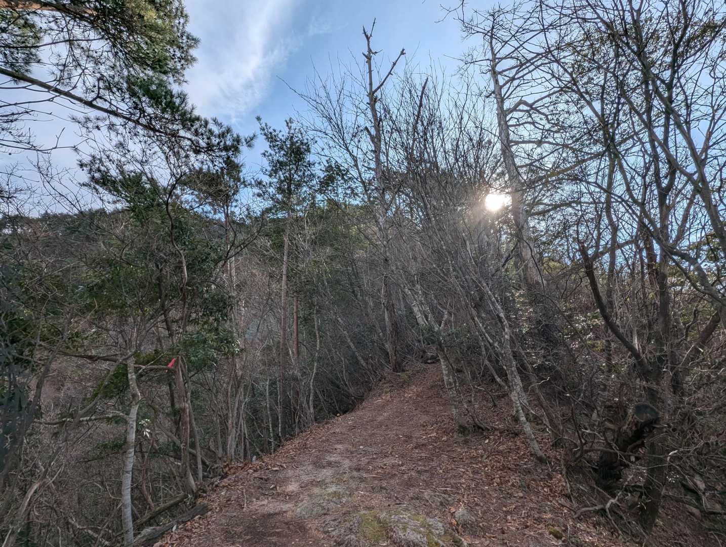 三角山 周回コースの写真