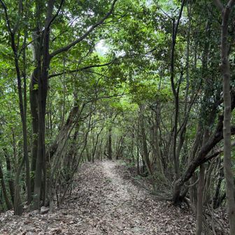 広島駅に向けて、下山を開始します