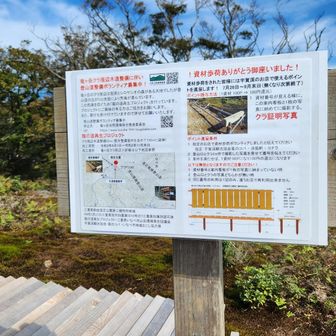 ここまで運ぶ