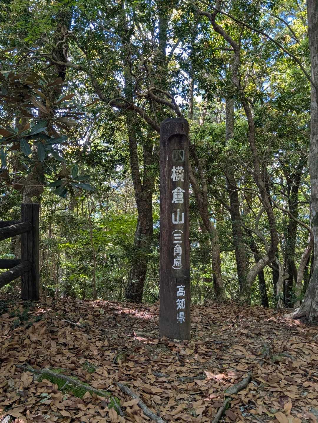 ほどなく山頂