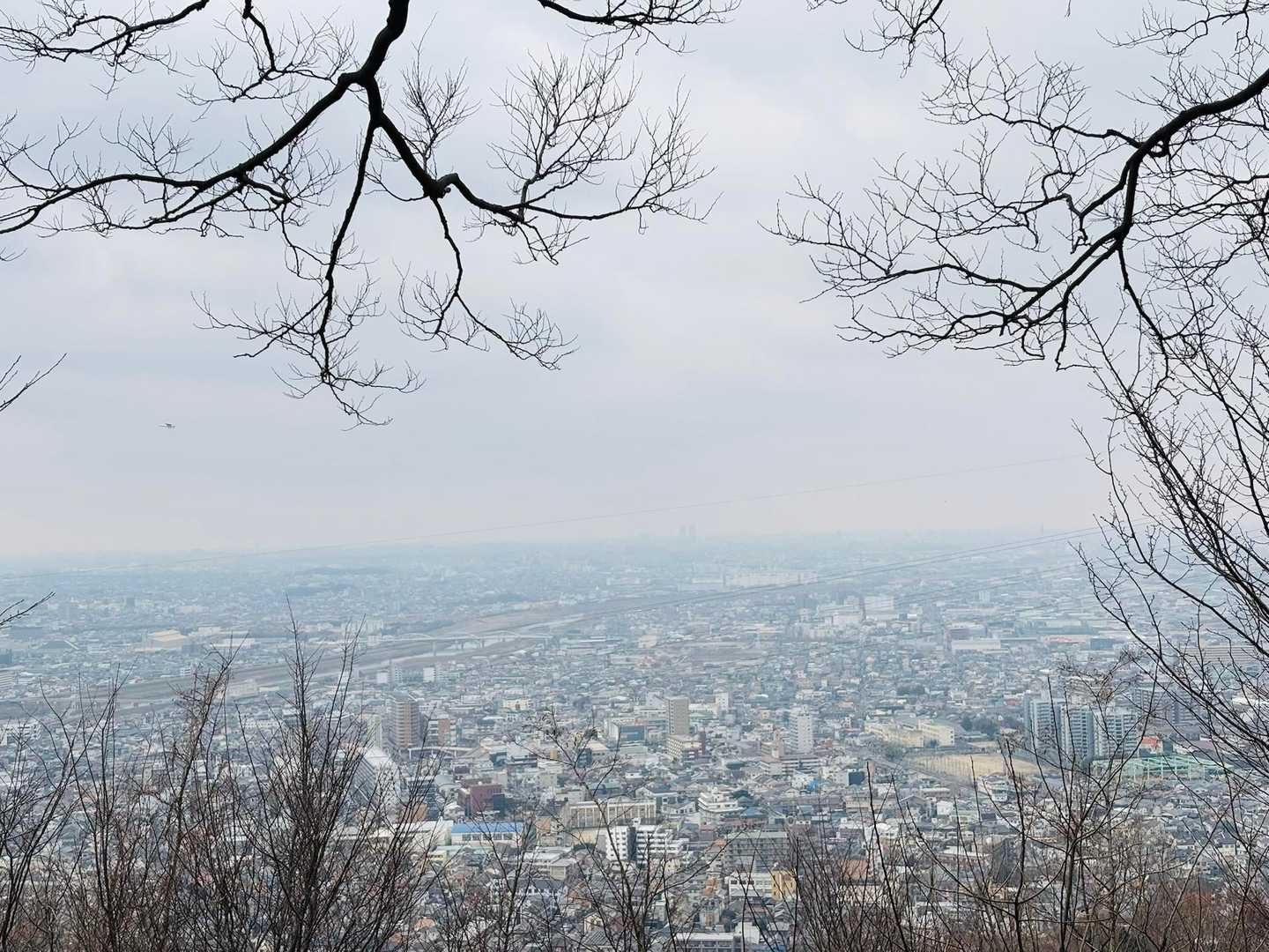 南パノラマ展望台からの眺め👀✨
うっすら見える正面の高いビルは堺市役所だね〜

ちなみにここの水仙はまだ蕾でした🌸
ボランティアの方曰く、今年は桜と水仙のダブルで楽しめるかも⁉️とのこと