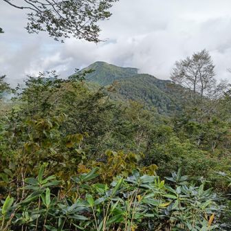 向こうに見えてる山は大長山だそうです。