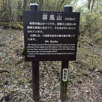 ここまでの急登、この行程で1番の斜度
終盤にこれ〜🤣しんどい