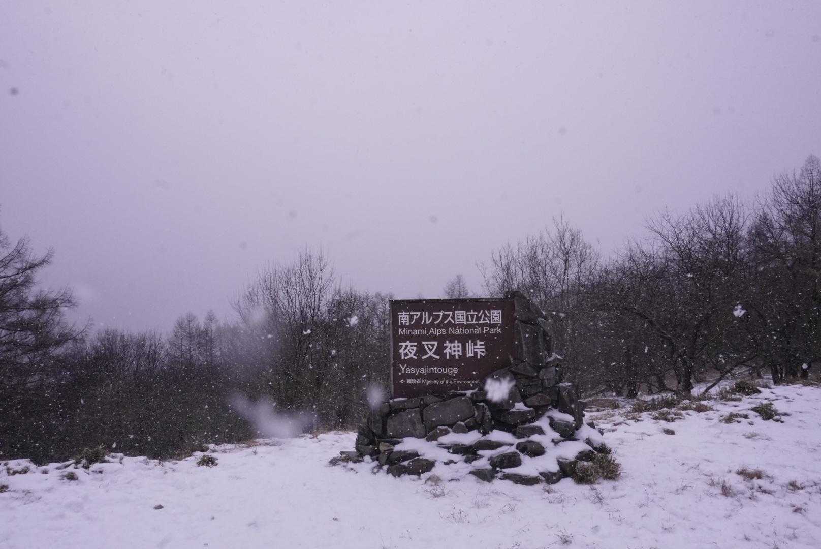 戻ってきました。
初日の朝とは打って変わっての世界😅
