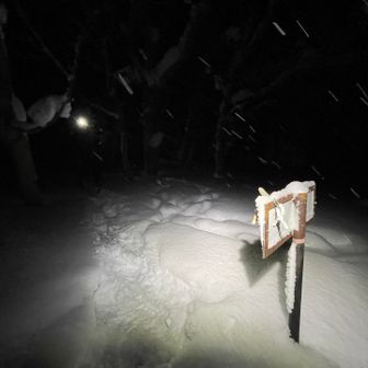 プルーさん🐶💡