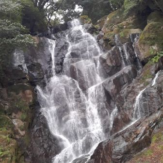 セルフィーカメラしか使えないので写真がよくない。白糸滝が傾いてる😜