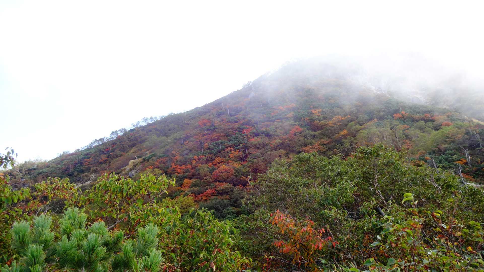 怪しい・・・雰囲気に💦