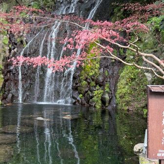 飛烟の瀧
烟はけむりの意味で、名の通り水しぶきが煙のように立ちこめる瀧