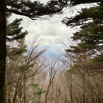 展望台と言われているところから。ここだけ木々が離れて抜けている。が、富士山は裾のの方だけ。心の目で。。