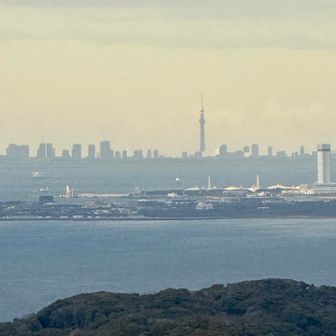 後ろを振り返るとかなり遠くにスカイツリーが見えてる👀