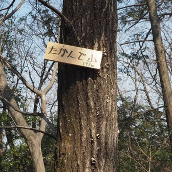 非公認の山なのかな？
ここまでいっさい看板がなかったです。