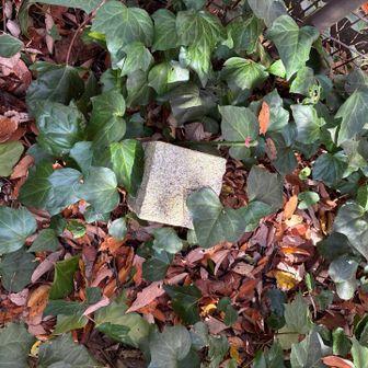 ３つ目👀のピーク