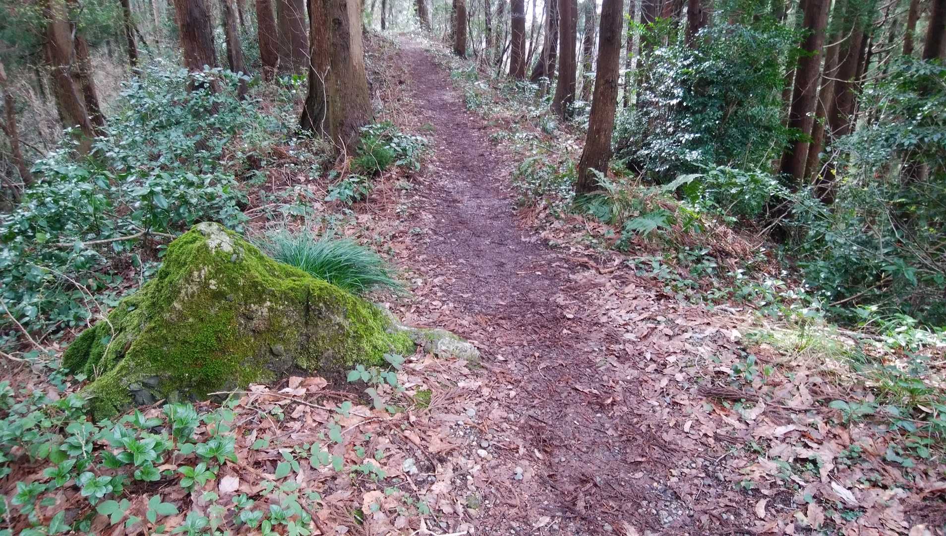 菩提寺山への道に有る千貫石　江戸時代橋田村と金津村の領地争いで此の石が境に成ったそうです