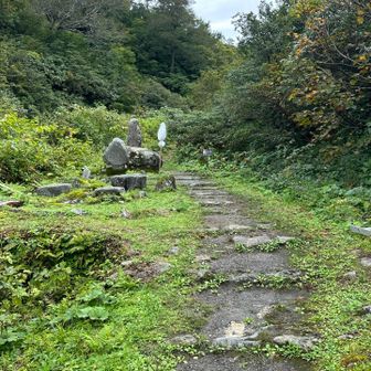 熊に会わないためにバスに乗ったけど、よくよく考えたらここから1人で登る方が熊怖いだろ🤣