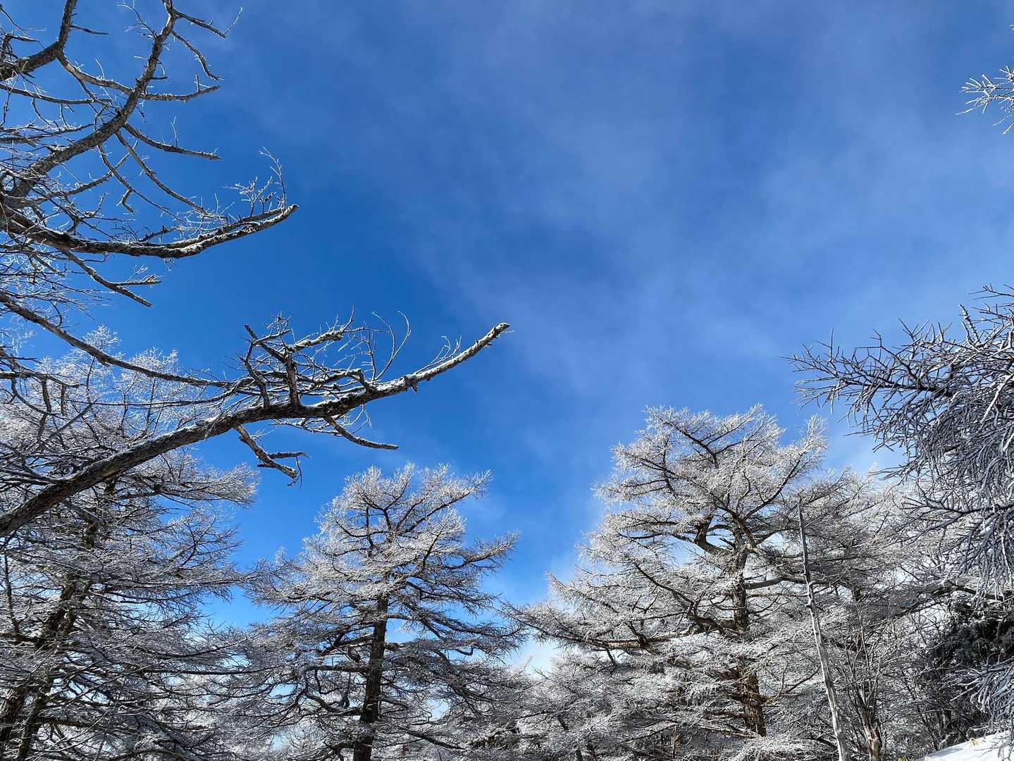 ガスの合間に青空が見える✨