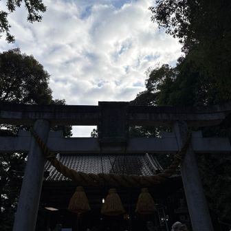 逆光⁉️
