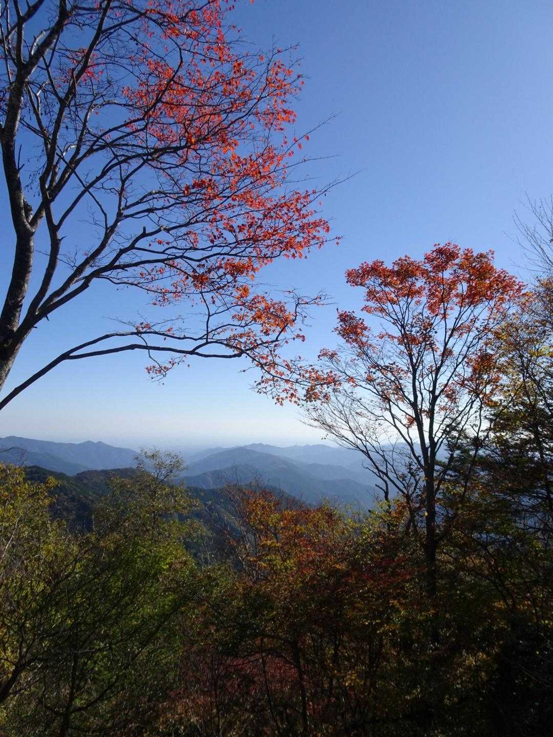 森林館-大滝休憩小屋-ムシカリ峠-三頭山-三頭山-三頭山- 周回コースの写真
