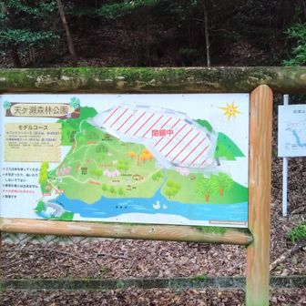 閉鎖中のエリアあります🪧