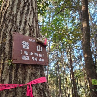 ⑩香山
呼ばれてグレーピーク
急登でした😆