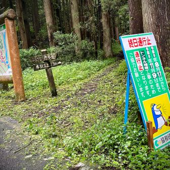 トンネル通行止めの案内