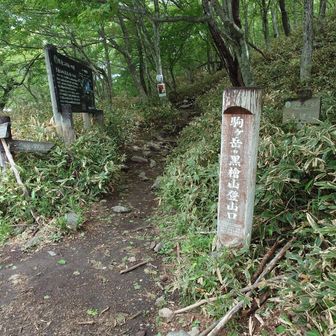 無事に下山しました。
あっという間でしたがとても充実した山行でした。