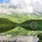 よしりん🌻