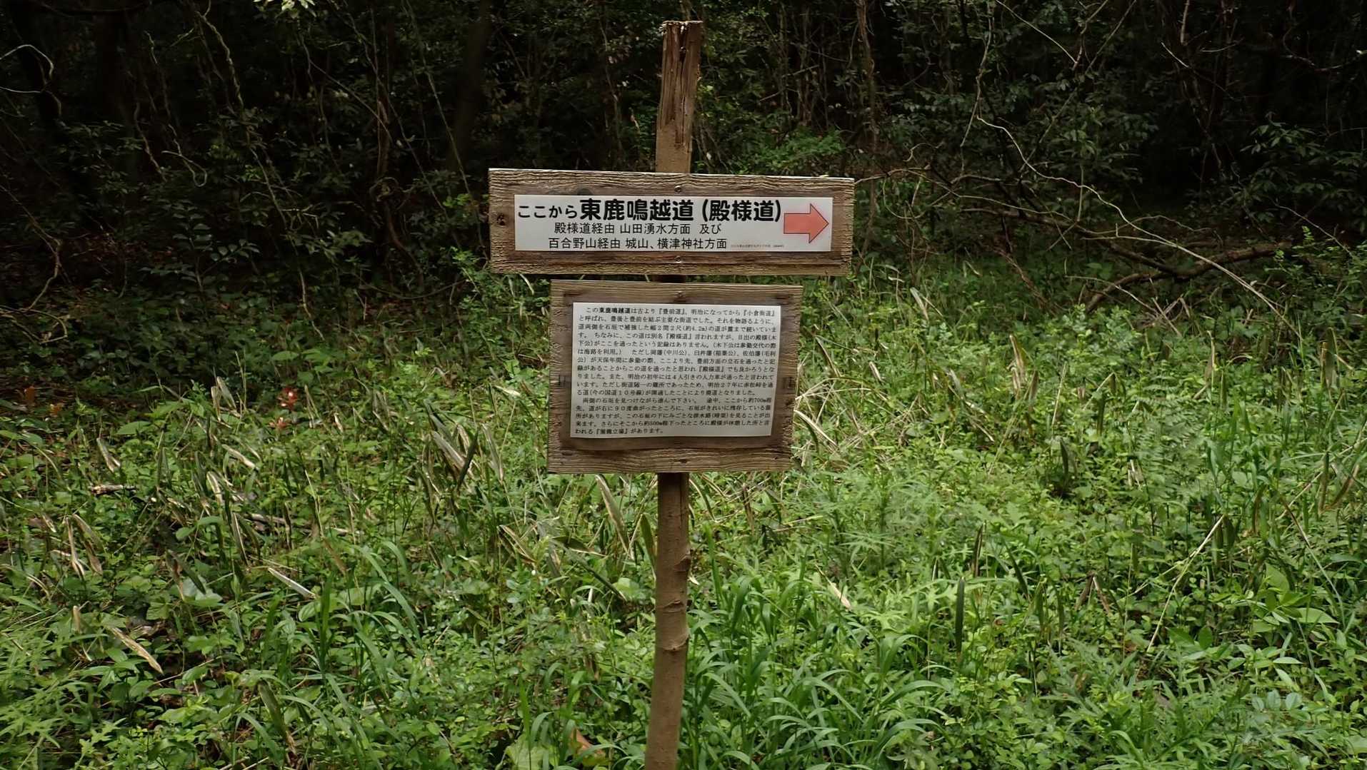 殿様道に出た。