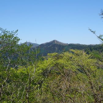 蕎麦粒山が見えました🤗