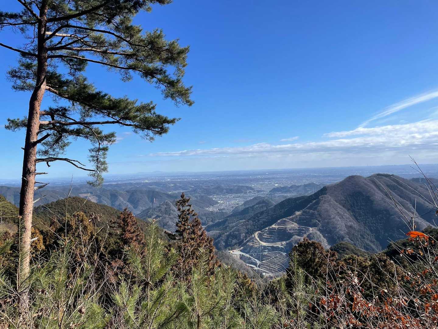 柏木野バス停-湯場ノ頭-連行峰-醍醐丸-独標-市道山-石津 縦走コースの写真