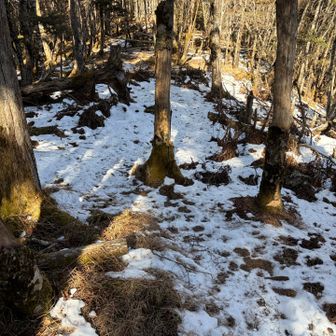 残雪ポイント⑦