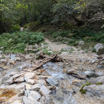 大山口付近の渡渉